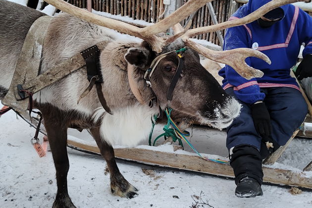 Кировск, Хибины и этническая деревня за один день!-3