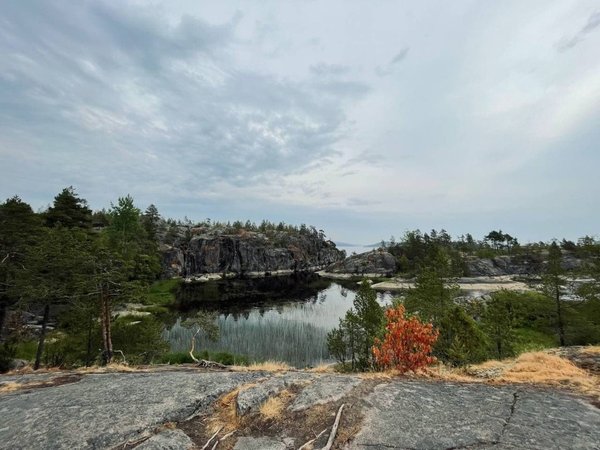 Золотой закат в Ладожских шхерах: прогулка на катере - фото 4