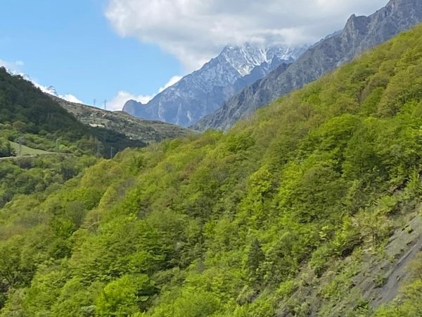 Дайвинг-выезд в Кабардино-Балкарию с опциональными погружениями в Нижнее Голубое озеро (мини-группа) - фото 3