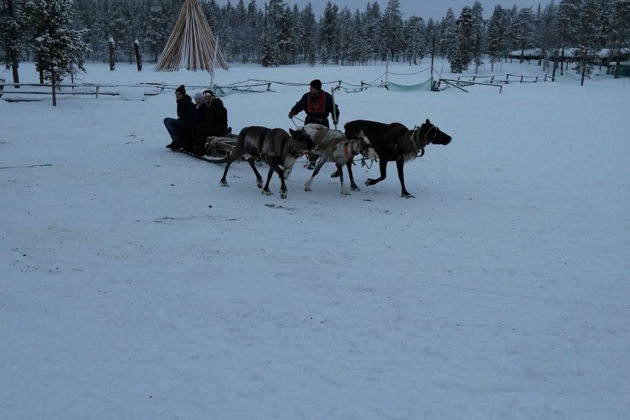 В гостях у коренного народа Севера, в саамской деревне - Самь-Сыйт.-6