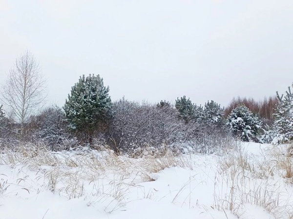 Хайкинг по берегам Казанки: от Казани до Голубых озёр - фото 1