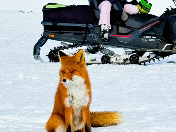 Персональный джип-тур на Камчатку: вулканы, термы и местные угощения - фото 3