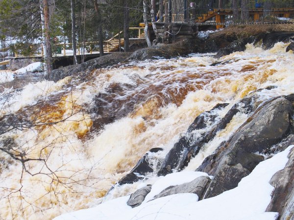 В экопарк «Долина водопадов» и музей «Кирьяж» — из Петербурга - фото 2