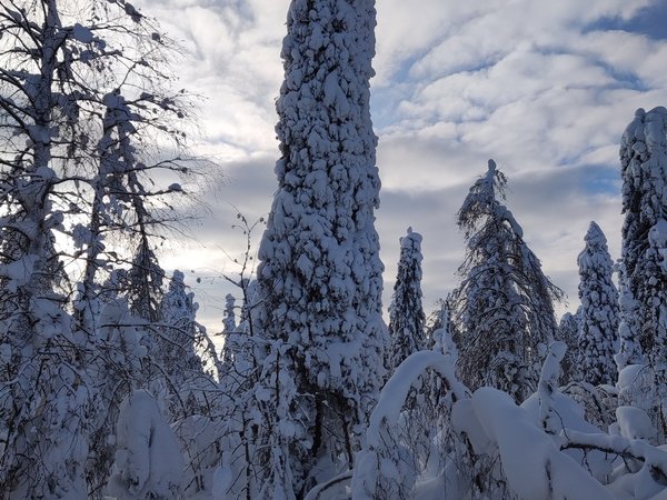 Сказки Пермского края: Усьвинские столбы и Каменный город - фото 4