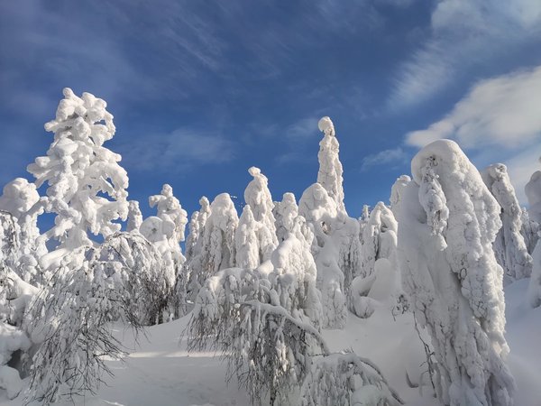 Сказки Пермского края: Усьвинские столбы и Каменный город - фото 2