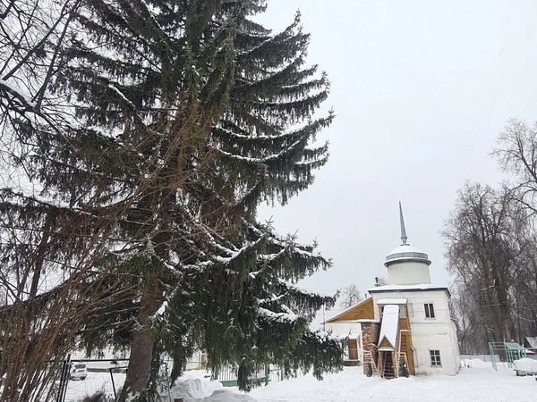 Авторская экскурсия по Ярославской области: Некрасовское и Дом кузнеца - фото 3