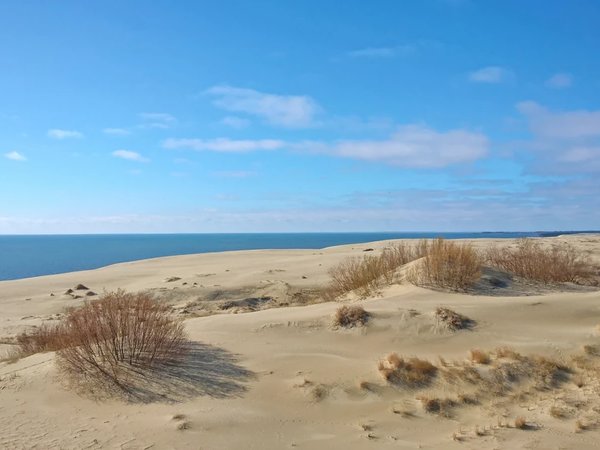 Куршская коса: природа и история (в мини-группе) - фото 3