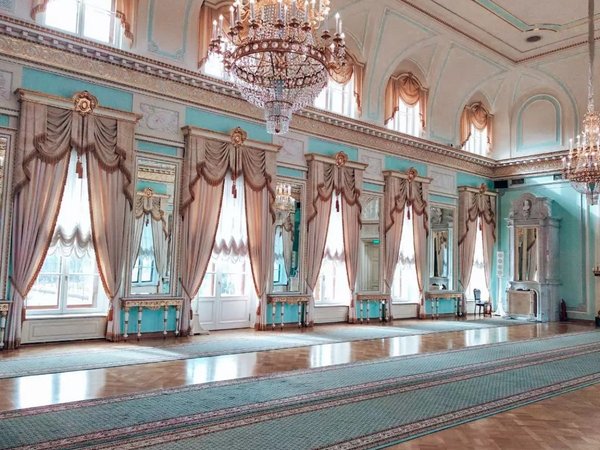 Из Петербурга — в Константиновский дворец в группе - фото 3