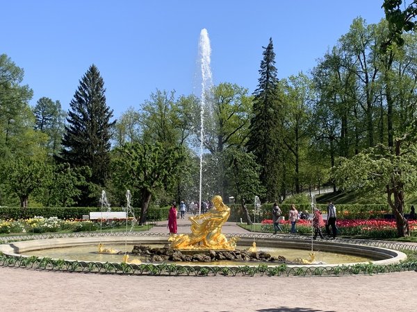 Верхний и Нижний парки Петергофа - фото 4