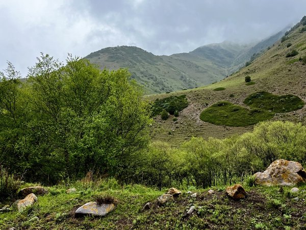 Горы Кыргызстана: ущелье Шамси - фото 4