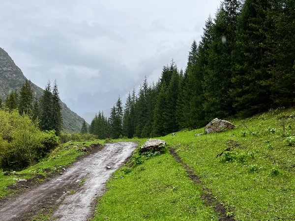 Горы Кыргызстана: ущелье Шамси - фото 3