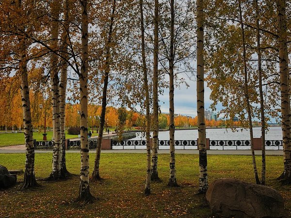 Петрозаводск: первое знакомство - фото 3