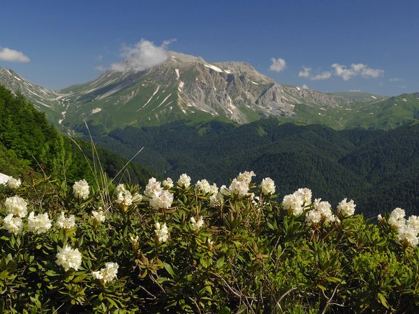 «Всё включено» в горах Адыгеи: тур с конной прогулкой, рафтингом, отдыхом на источниках и в бассейне