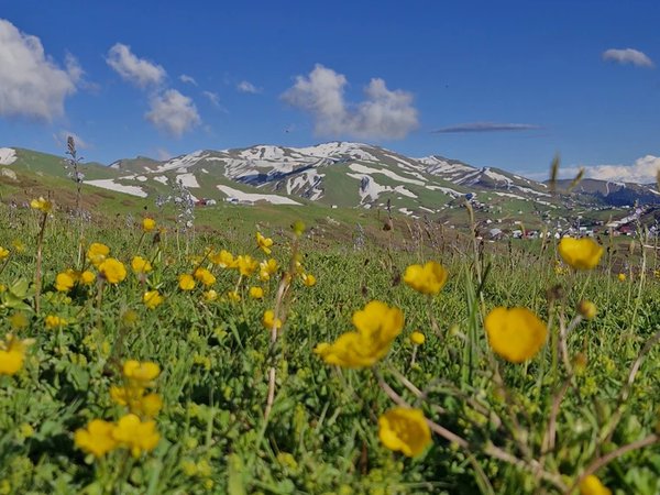 Гомис-Мта: закат, облака и пикник в горах (всё включено) - фото 2