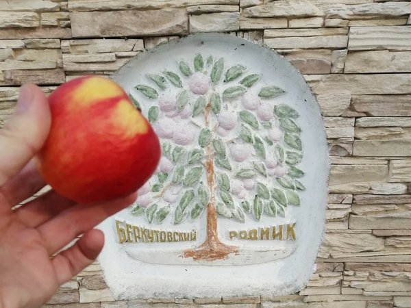 Сказочные родники Кумысной поляны - фото 3