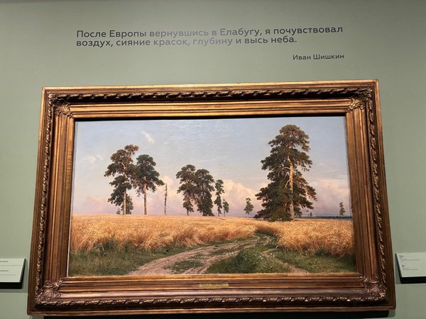 «Русский лес» — экскурсия по выставке Ивана Шишкина в корпусе Бенуа - фото 4