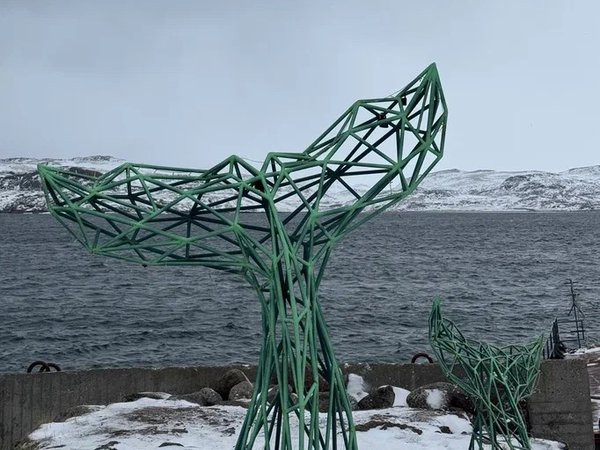 Тур-приключение в Арктике: Териберка и Кировск, кулинарный мастер-класс и северное сияние - фото 3