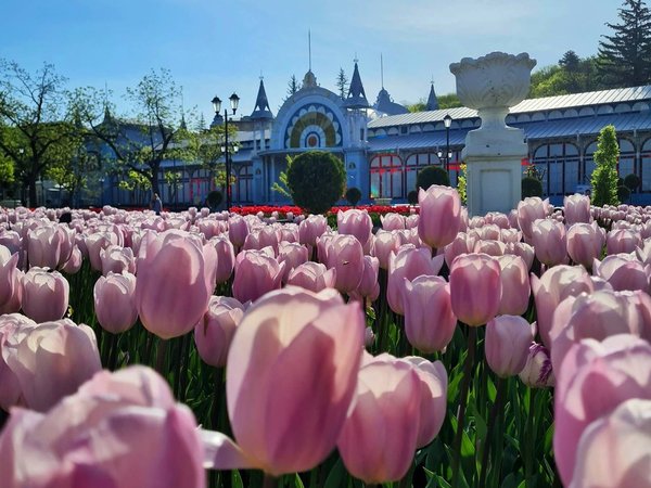 Четыре грани Кавказских Минеральных Вод (из Железноводска) - фото 2