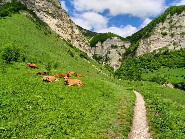 Из Грозного — в Шаройское ущелье - фото 3