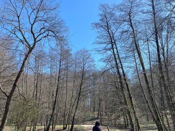Победа... Какая она в городе «К» — Калининграде - фото 3