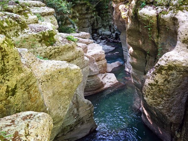 Лёгкий треккинг в субтропиках с проживанием в гостинице в Адлере - фото 3