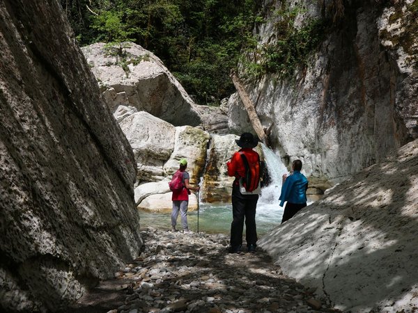 Лёгкий треккинг в субтропиках с проживанием в гостинице в Адлере, фото 5