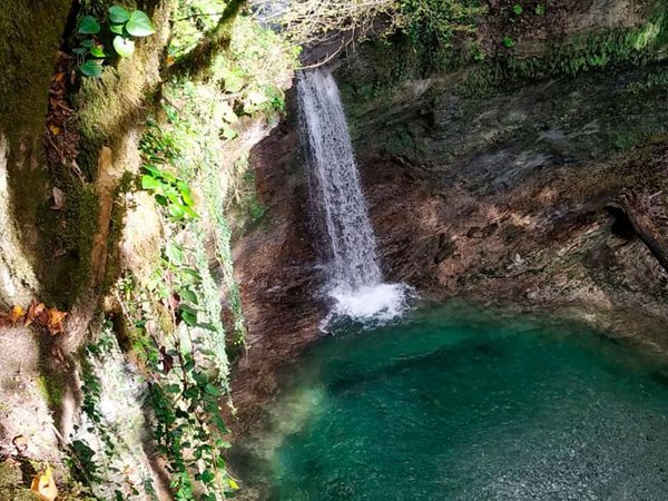 Лёгкий треккинг в субтропиках с проживанием в гостинице в Адлере - фото 1