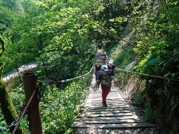 Лёгкий треккинг в субтропиках с проживанием в гостинице в Адлере - фото 4