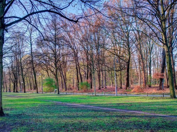 Аудиопрогулка по Берлину+ билет в Еврейский музей - фото 3