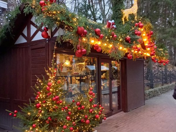 5 городов области и Куршская коса: новогодние праздники у моря - фото 1