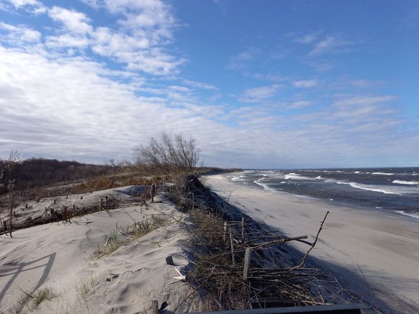 5 городов области и Куршская коса: новогодние праздники у моря - фото 4