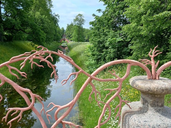 Китайский бум на берегах Невы: Петербург и Царское Село - фото 3