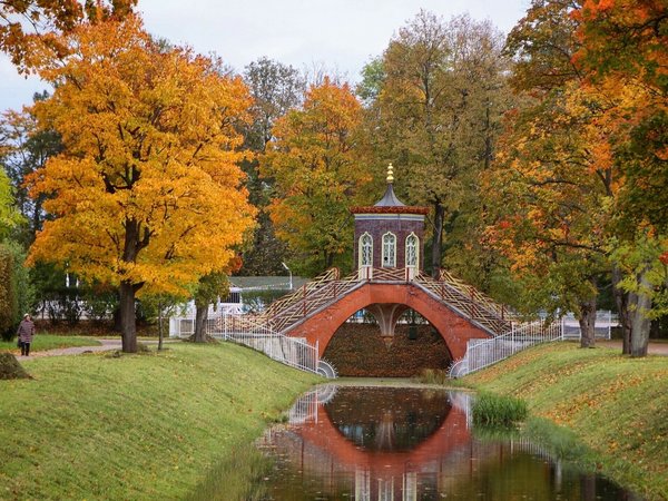 Китайский бум на берегах Невы: Петербург и Царское Село - фото 2