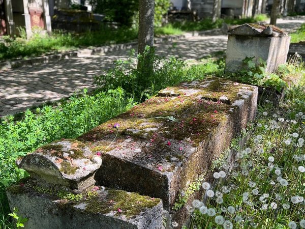 Увидеть Париж и умереть: экскурсия по кладбищу Пер-Лашез - фото 4