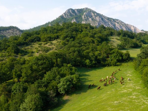 Поход через леса Дилижана на гору Апакекар - фото 4