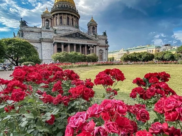 Символы Петербурга для всей семьи - фото 2