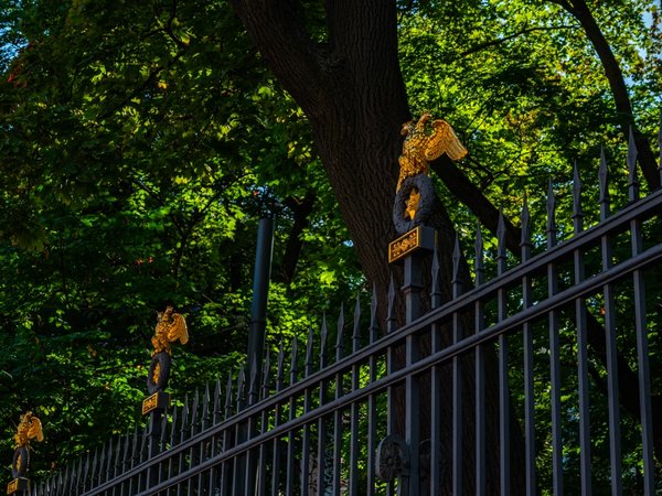 По Петербургу с Николаем I - фото 4
