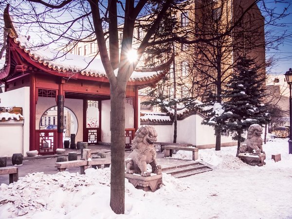 Парадный Литейный и его проходные дворы - фото 3