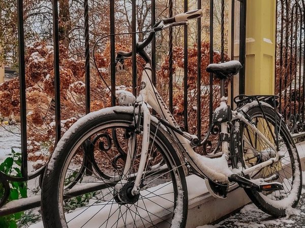 Весна в Амалиенау — европейском уголке Калининграда - фото 2