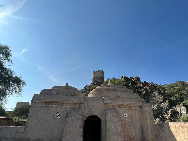 Открывая ОАЭ: Индийский океан, горы и старинная архитектура - фото 4