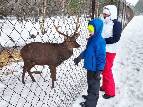 Ледяная сказка Дигории: треккинг налегке с проживанием в гостинице, фото 5