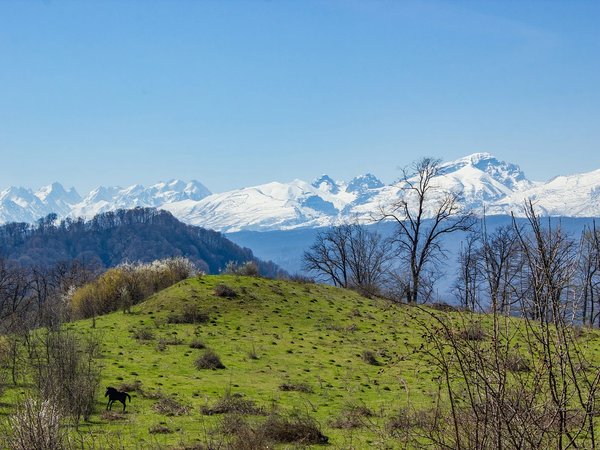 Лысая поляна долины реки Нальчик