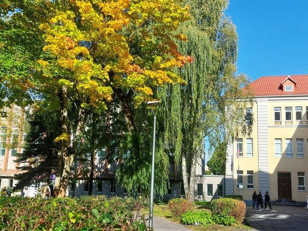 Парадный Кёнигсберг: красота эклектики - фото 4