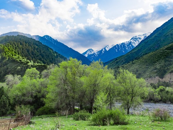 Ущелье Туюк и башня Бурана за 1 день! - фото 3