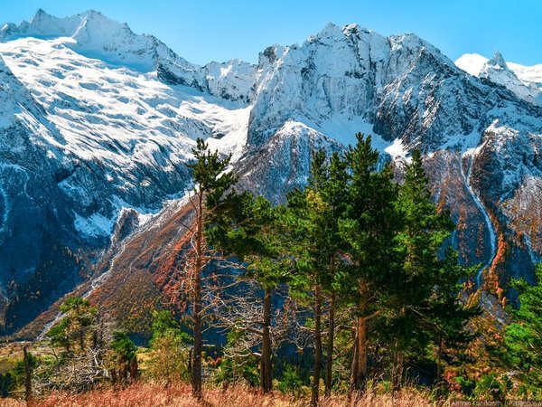 Путешествие в Домбай через перевал Гумбаши - фото 2
