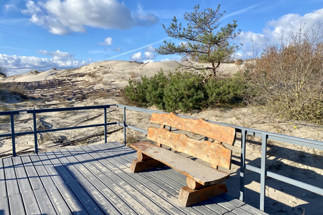 Фото - экскурсия: Прогулка по Куршской косе от Танцующего леса до дюны Эфа