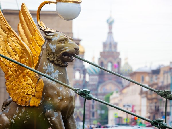 «Петербург — город сокровищ!»: экскурсия для взрослых и детей