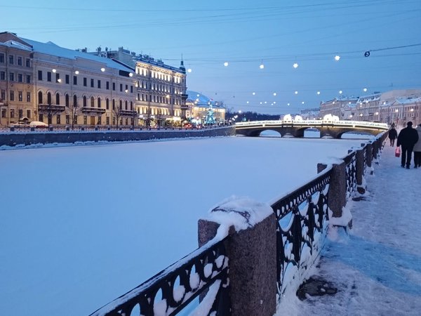 Силуэты Фонтанки: дворцы, особняки и их владельцы - фото 4