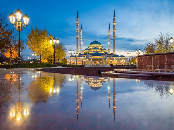 Два дня в Чечне: из Грозного в мир гор, лесов, башен и лошадей - фото 2