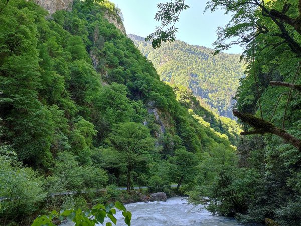 Из Сочи в Абхазию — за яркими впечатлениями! - фото 2